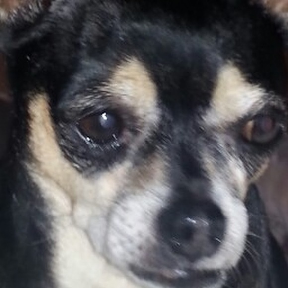 Meet your Posher, Michele - Picture 1 of 1